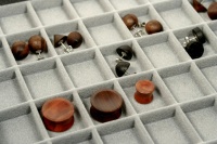 Ohrstecker und Tunnel Zwetschge, Nuss, Mooreiche